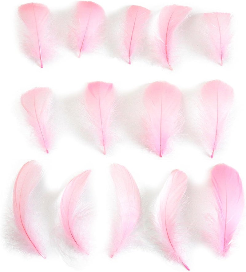 Lamar Feather 300pcs Pink Feathers 2-3 Inches Bulk Feathers for Crafting, Dream Catcher Accessories, Art Projects, DIY Crafting, Handi Crafts, Party Decoration (Light Pink) - Image 2